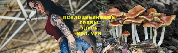 круглые Алексин