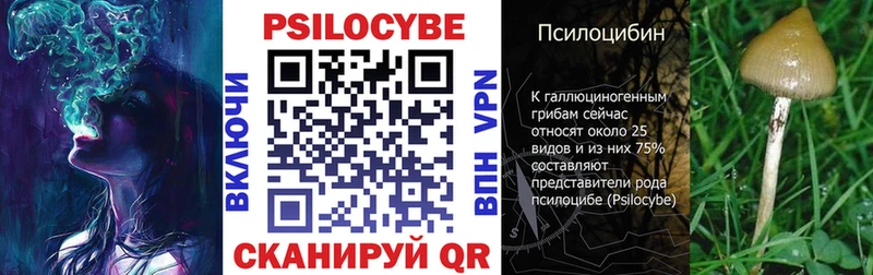 kraken как зайти  Циолковский  Галлюциногенные грибы ЛСД 